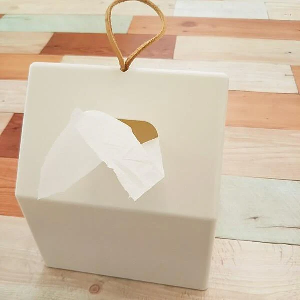 Roll Tissue Paper Box - is made of recycle plastic (Made in Japan) - Image 17