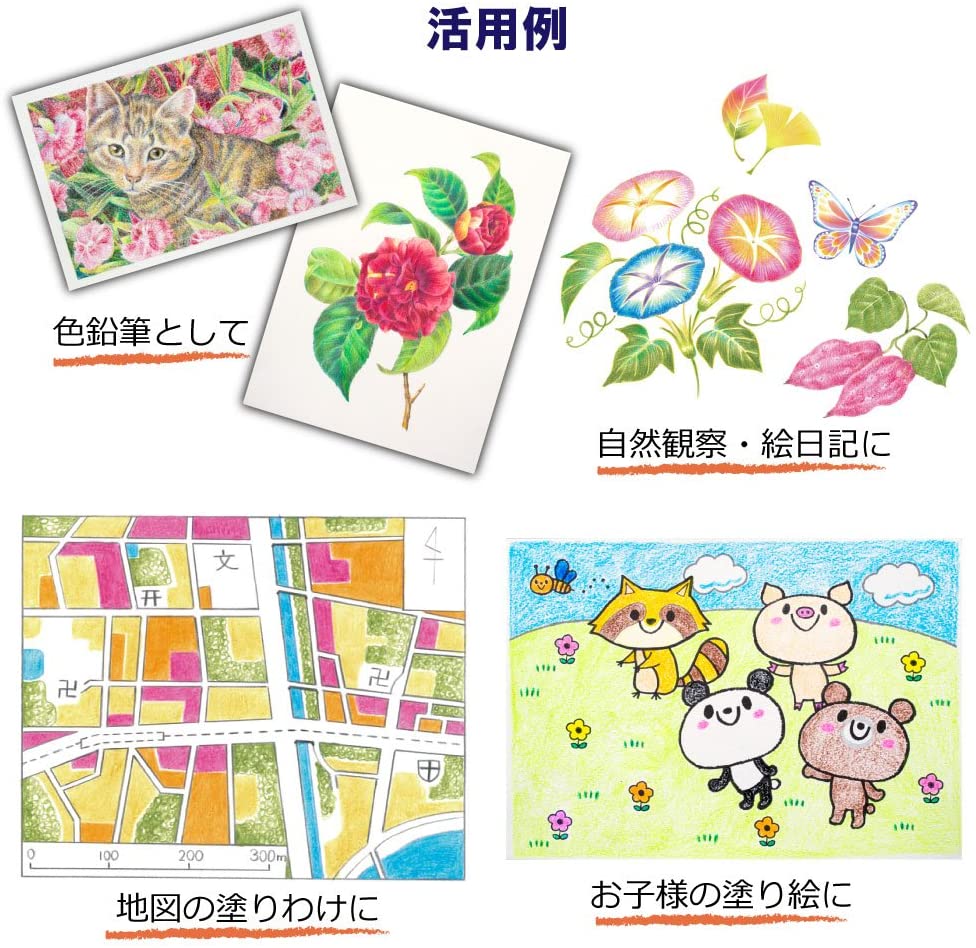Sakura Coupy Colored Pencil 12 colors (Made in Japan) - Image 8