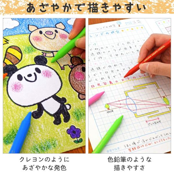 SAKURA Coupy Pencil 12 Colors (Made in Japan) - Image 3