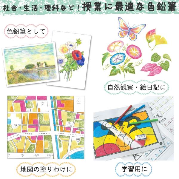 SAKURA Coupy Pencil 12 Colors (Made in Japan) - Image 4