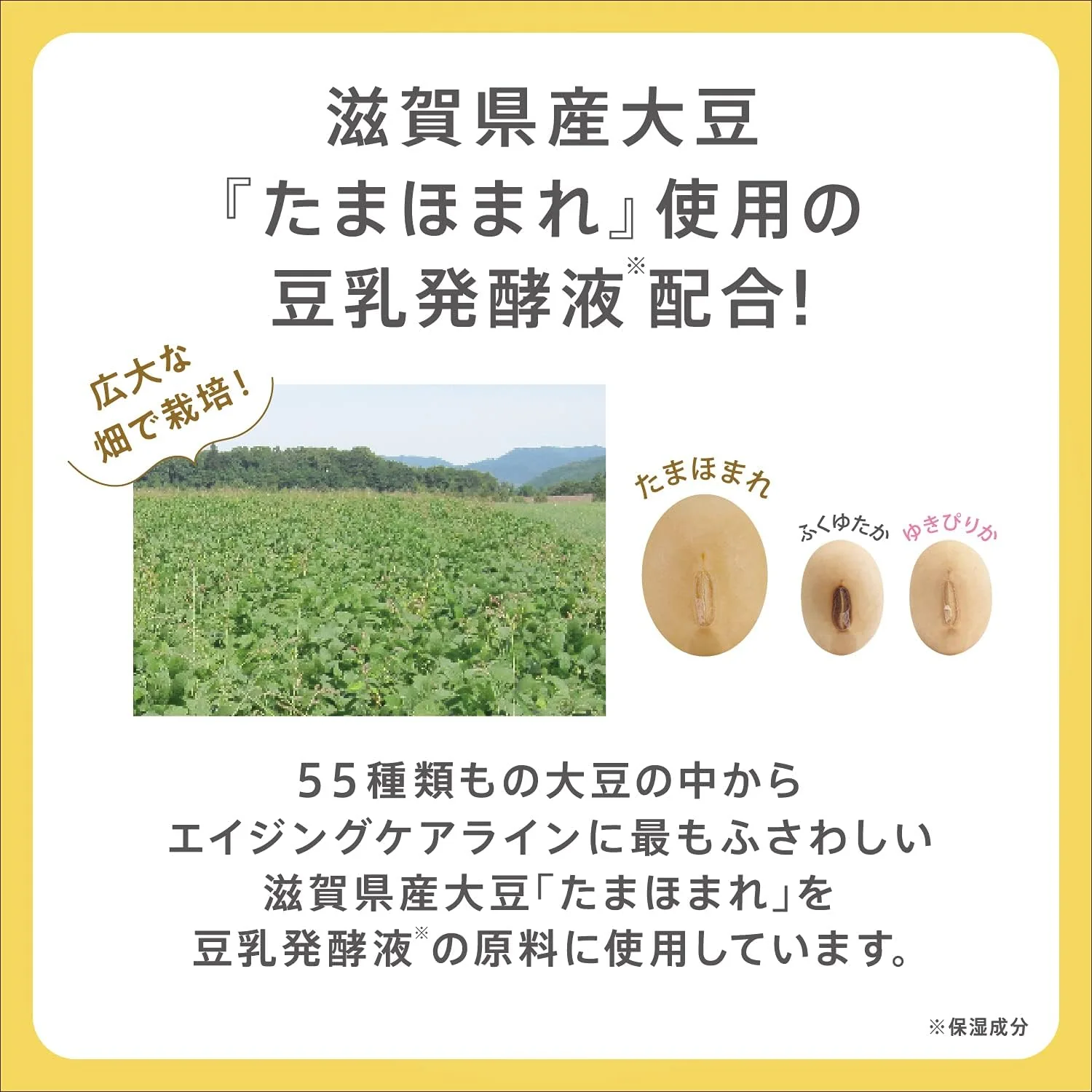 Sana Nameraka Honpo Soy Milk Isoflavone Wrinkle Eye Cream - 30g - Image 10
